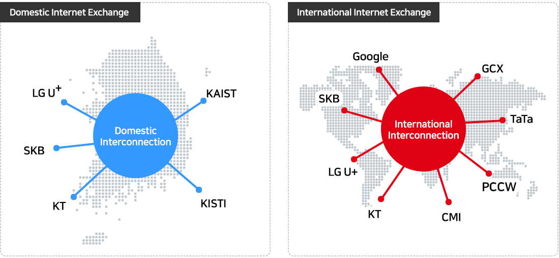 1. Domestic Internet Exchange : LG U+, KAIST, KISTI, KT, SKB / 2. International Internet Exchange : Google, GCX, TATA, PCCW, CMI, KT, LG U+, SKB